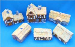 Thatched Roof Buildings